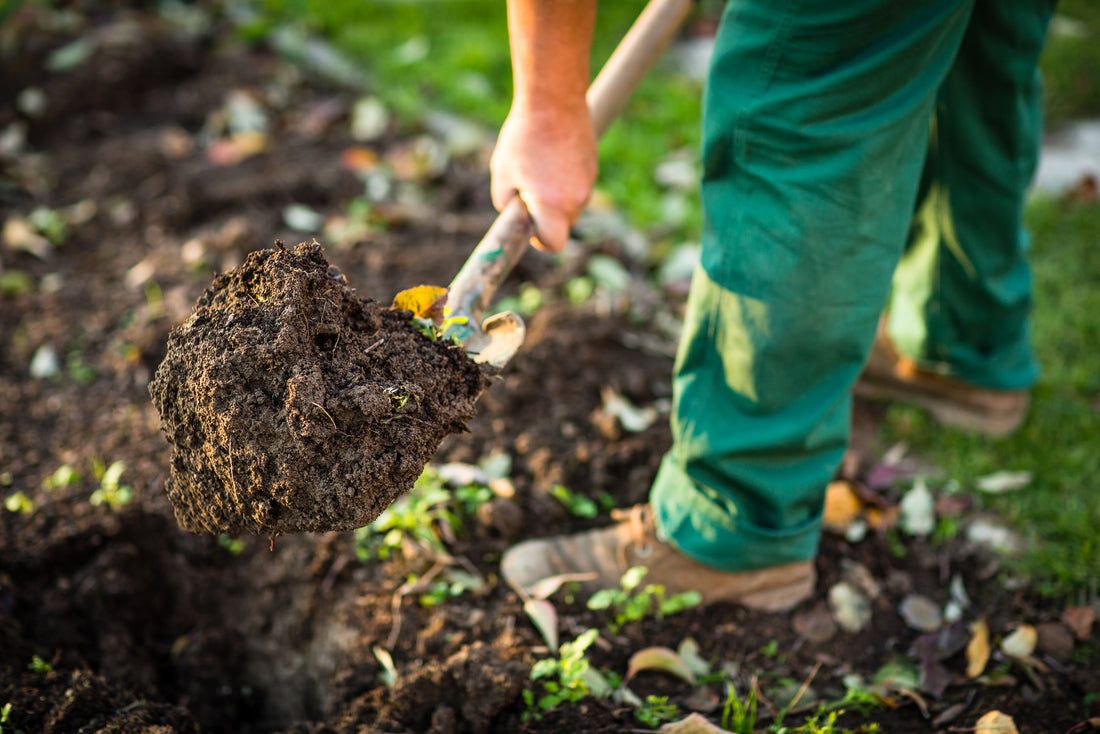 The Best Shoes To Wear When Gardening