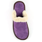 Lazy Dogz Otto Purple Suede Slipper