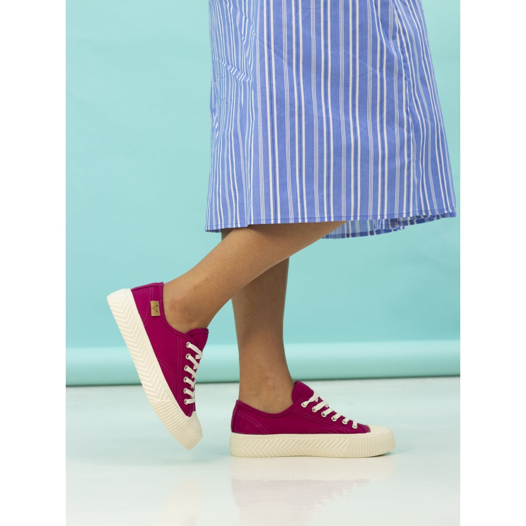 Jayne II Raspberry Trainer