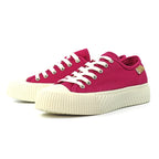 Jayne II Raspberry Trainer