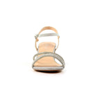 Shazam Silver Block Heel Sandal