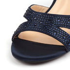 Nina Navy Shoe