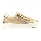 Xenon Gold Trainer