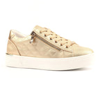 Xenon Gold Trainer