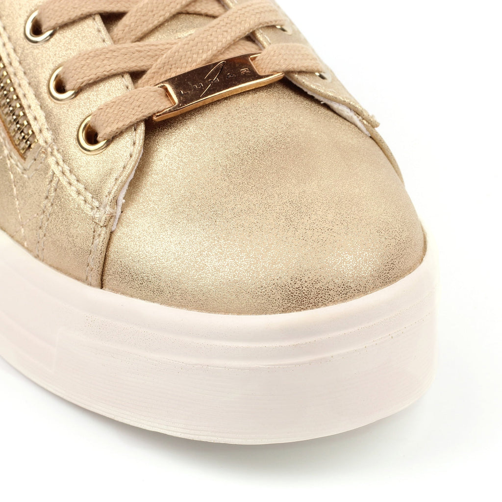 Xenon Gold Trainer