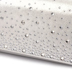 Argo / Alisha Silver Handbag